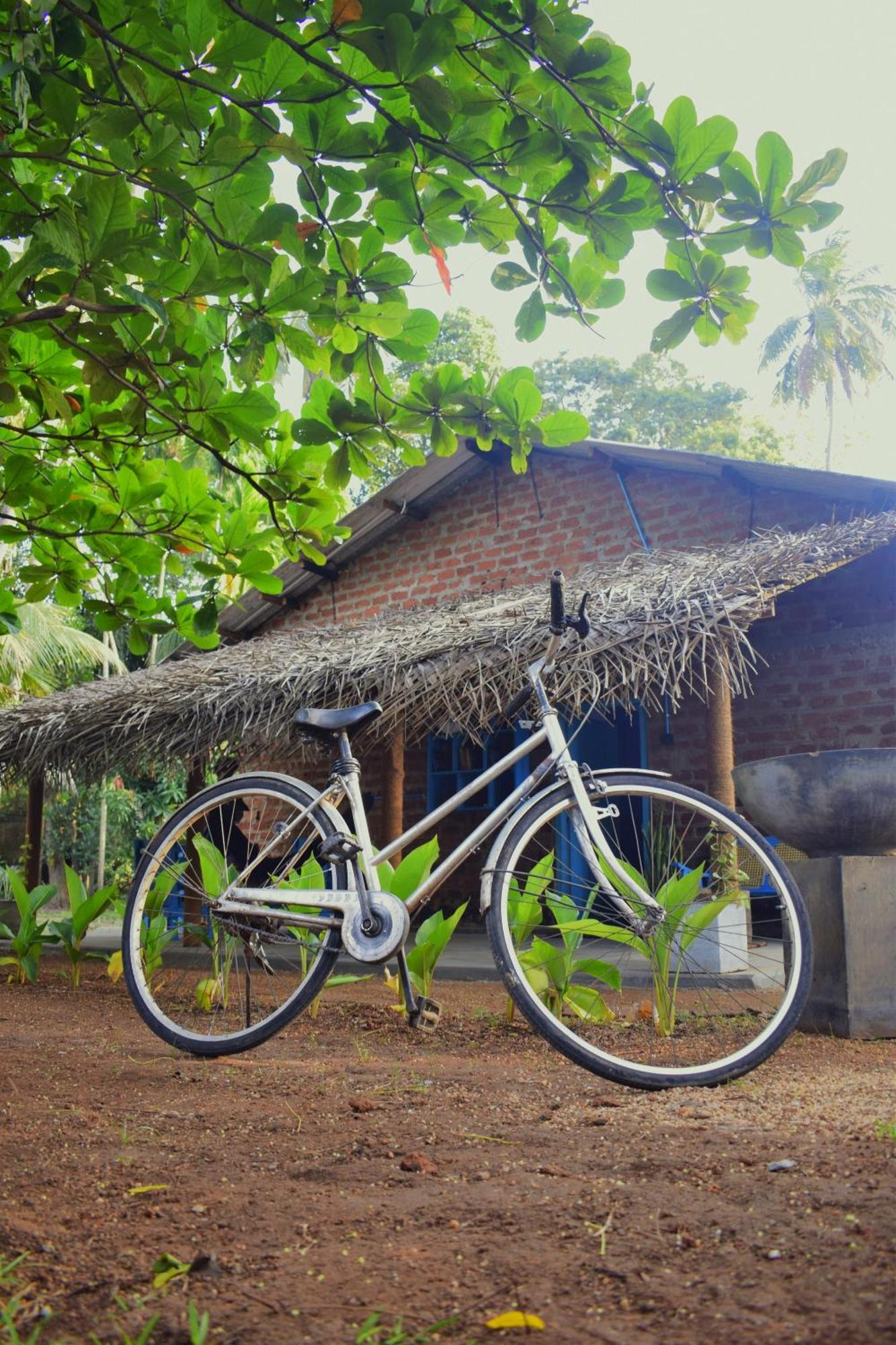 Chill House Hostel Anuradhapura Exterior foto